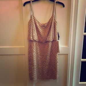 Embellished Pink Champaign Mini Dress